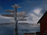 Frozen Signpost  Narvik  Nordland  Norway