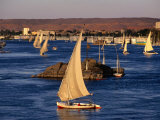 Feluccas on Nile River  Aswan  Egypt