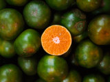 Mandarins for Sale  Serian  Sarawak  Malaysia