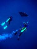 Two Divers and Manta Ray Between Batteaux Bay and Little Tobago Island  Trinidad & Tobago