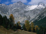Hikers Going to Grimmels Pasture  Piz Ftur and Piz Sampuoir in Swiss Nat Park  Zernez  Switzerland