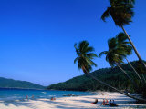 Palm Trees on Long Beach  Pulau Perhentian Kecil  Malaysia