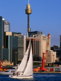 Sailing Around Darling Harbour  Sydney  Australia