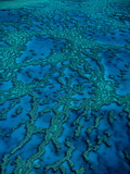 Aerial of Hardy Reef in the Whitsundays on the Great Barrier Reef  Queensland  Australia
