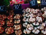 Garlic and onions for sale  Bordeaux  France