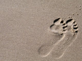 Footprints on Sand  Australia