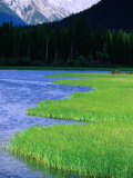 Vermillion Lakes  Banff National Park  Alberta  Canada