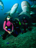 Kneeling in the Coral Rubble as Caribbean Reef Sharks Swim along the Tongue of the Ocean  Bahamas