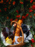 Picnic Basket (Wine  Bread & Cheese) in Bed of Flowers  Western Australia  Australia