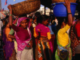 Women Balancing Fish Baskets at Fish Market on Sassoon Dock  Mumbai  Maharashtra  India