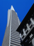 Looking Up at the Trans America Pyramid  San Francisco  USA