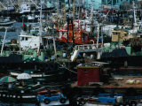 Fishing Boats Crowding Waterfront at Port  Busan  Gyeongsangnam-Do  South Korea