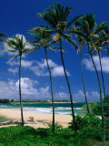 Lydgate Park  Wailua  Kauai  Hawaii  USA
