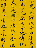 Calligraphy Script on Wall  Dongcheng  Beijing  China 