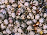 Cloves of Garlic  Italy