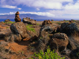 The Garden of the Gods  Lanai  Hawaii  USA