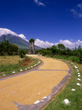 Rice Drying on Side of Road with Cagsawa Church Tower and Mayon Volcano in Background  Philippines