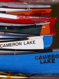 Canoes at Cameron Lake  Waterton Lakes National Park  Alberta  Canada