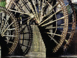 Triple Noria (Wooden Water Wheel)  Hama  Syria