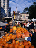 Pumpkins for Sale at Farmers' Market on Union Square  New York City  New York  USA