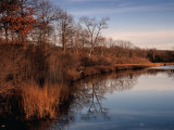 Mashomack Nature Preserve on Shelter Island  New York  USA