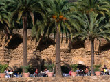 Outdoor Cafe Beneath Palm Trees in Parc Guell  Barcelona  Spain