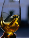 Extra Virgin Olive Oil in a Wine Glass  Spain