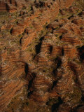 Aerial of the Bungle Bungles  Purnululu National Park  Western Australia  Australia