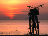 Bicycle Silhouetted Against Sunset on Nha Trang Beach  Nha Trang  Khanh Hoa  Vietnam