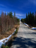 Road Through Forest  Lappi  Finland