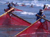 Net Fishing for Brine on Southern Coast  North of Salinas  Salinas  Ecuador