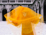Carnevale Costume in Palazzo Ducale  Venice  Veneto  Italy