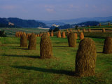 Bales of Hay in Pieniny Mountains Region  Malopolskie  Poland