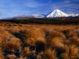 Mt Ngauruhoe Through Grassy Landscape  Tongariro National Park  Manawatu-Wanganui  New Zealand