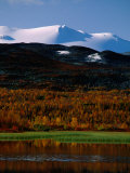 Snow Covered Peaks and Autumn Colours  Skjak  Norway