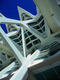 Detail of the City of Arts and Sciences Building  Valencia  Spain