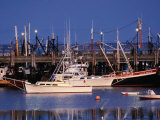 Boats in Harbour  Provincetown  Massachusetts  USA