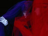 People in Carnevale Costume in St Mark's Square  Venice  Veneto  Italy