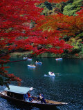 Boats with Tourists Showing Arashiyama's Autumn Colours  Kyoto  Japan