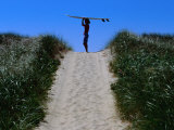 Surfer Carrying Board on Dunes at Long Point  Martha's Vineyard  Massachusetts  USA