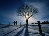 Couple Hiking on a Path with Winter Sun  Zurich  Switzerland