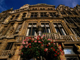 Guild Houses of Brussels  Brussels  Vlaams Brabant  Belgium