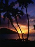Silhouetted Palm Trees at Sunset  Fiji