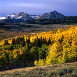 Jordan Basin with Golden Aspen Trees in Foreground  Sierra Nevada  USA