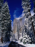 Winter Road and El Capitan  Yosemite Valley  California  USA
