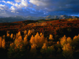 Evening Sunlight Over Mt Sneffels Wilderness Area  South Carolina  USA