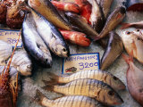 Market Fish  Rethymno  Crete  Greece