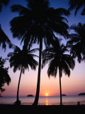 Palm Tree-Lined Hat Kaibae at Sunset  Thailand