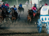 Chuck-Wagon Racing at the Calgary Stampede  Calgary  Canada