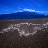 Black Volcanic Sand Beach on Isla Fernandina  Isla Fernandina  Galapagos  Ecuador